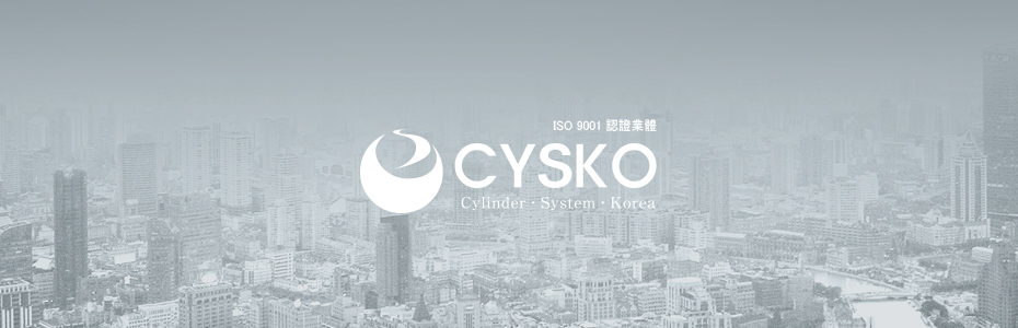 CYSKO 沿革